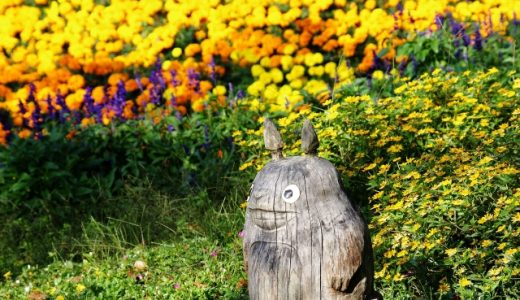 英語のおまけ箱 61箱目「わたしの隣人、トトロ」